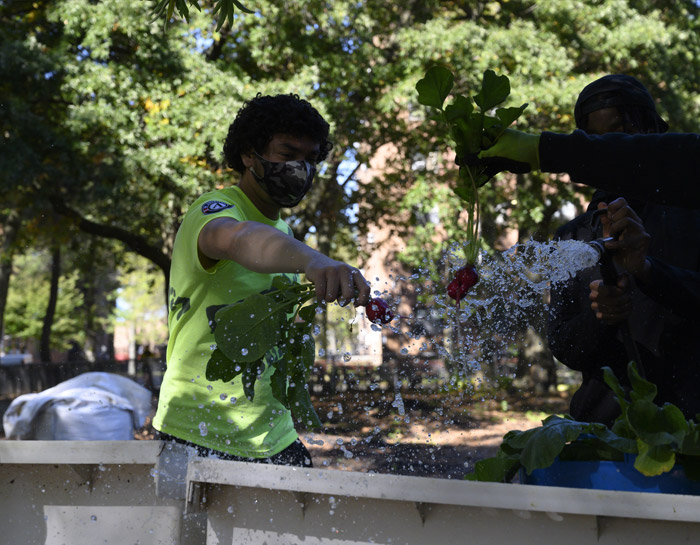 photo-slideshow-enviornment3